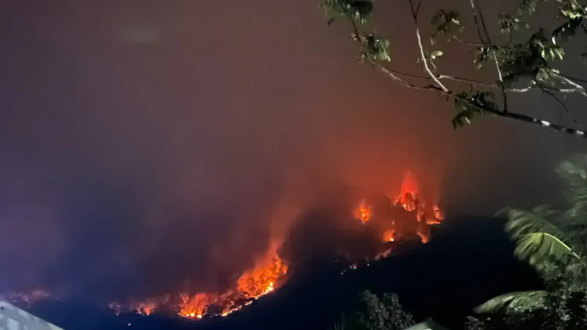 Salah satu karhutla yang terjadi di Sukadana, Kabupaten Kayong Utara.