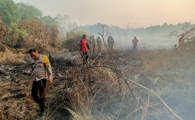 Sukamara-Ketapang Masuk Peta Pencabutan Izin, PT Grace Putri Perdana Disorot WALHI