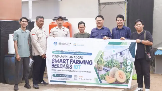 Pertanian Modern di Ketapang, Politap Gunakan IoT untuk Pantau Tanaman Melon
