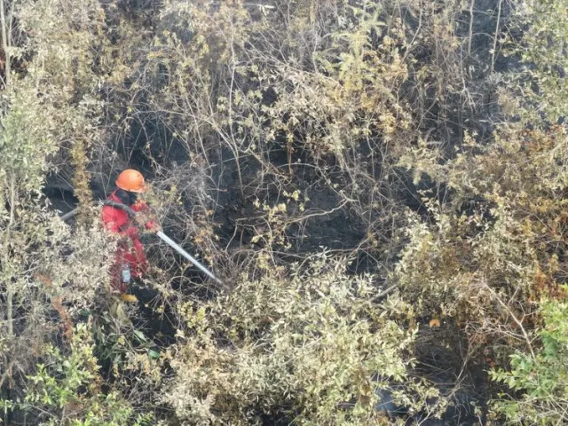 Karhutla Kalteng dan Sumsel Ditangani, Hotspot Nasional Turun 77,5 Persen