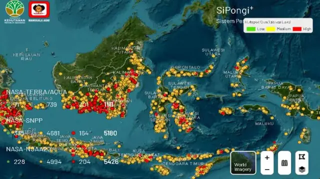 Cara Cek Hotspot Karhutla Lewat HP Tanpa Aplikasi, Pantau Peta BNPB