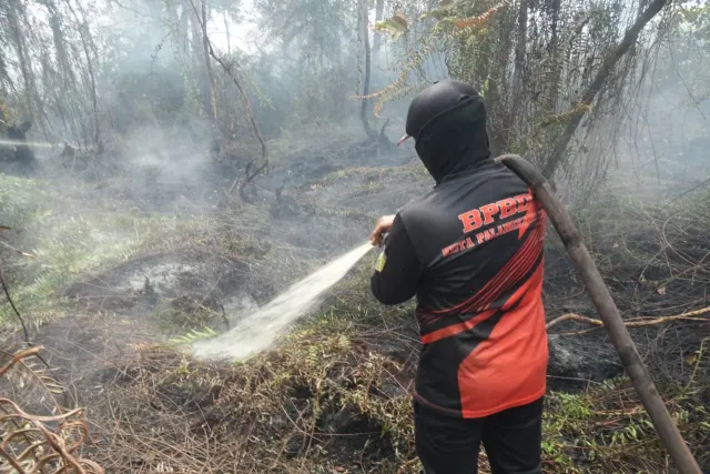 Malaysia Sebut Mayoritas Karhutla Bukan dari Konsesi Sawit, Satu Perkebunan di Kalimantan Terdampak